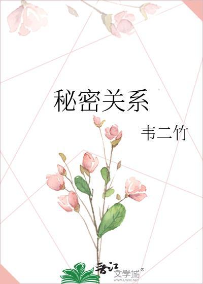 秘密关系2汉化破解版
