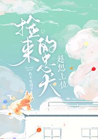 捡忠犬来投喂