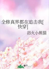 全修真界都在追杀我概述