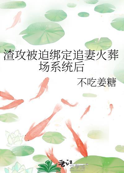 渣攻追妻火葬场之后txt