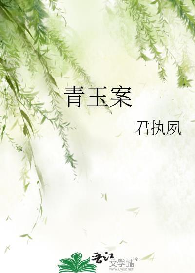 青玉案前txt