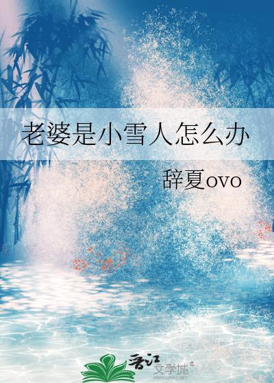 老婆是小雪人怎么办晋江