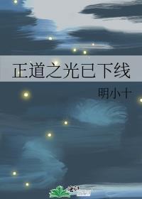 正道之光dj