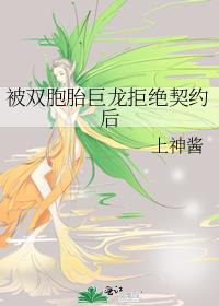 被双胞胎巨龙拒绝契约以后
