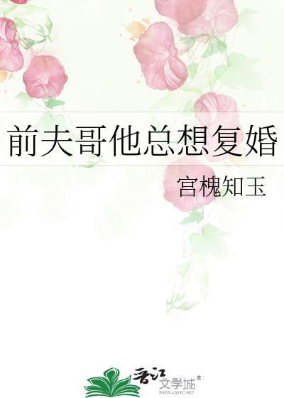 前夫哥他总想复婚_宫槐知玉