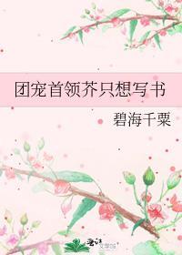 团宠书单