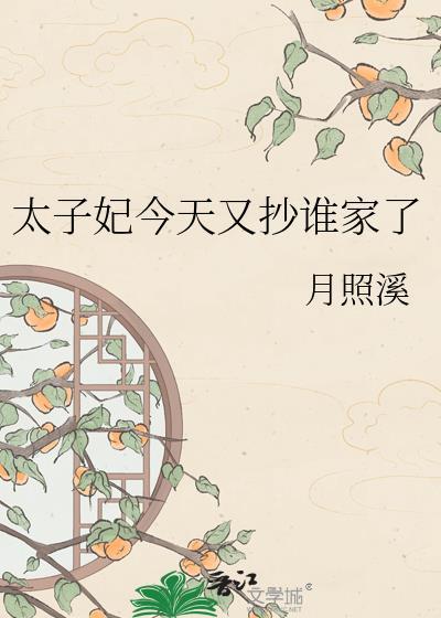 太子妃今天又抄谁家了 txt