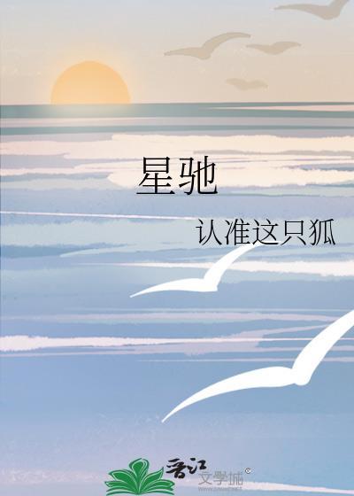 星驰科技有限公司