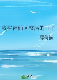 我在神仙区整活的日子讲的什么