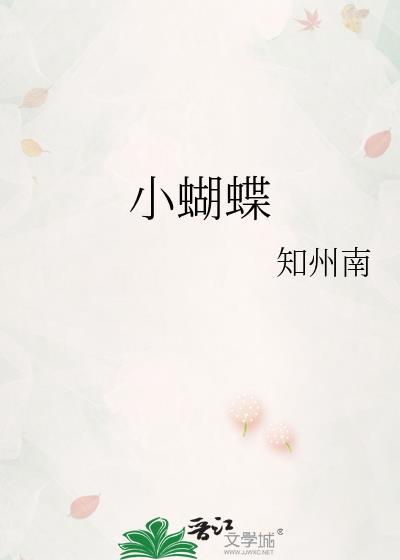 小蝴蝶滤镜