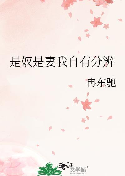是奴是妻我自有分辨作者冉东驰