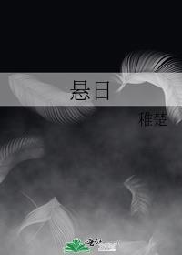 悬日百度TXT