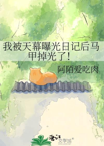 天幕日记后我的马甲是谁