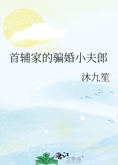 首辅家的骗婚小夫郎by沐九笙