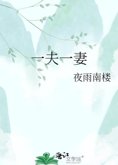 一夫一妻by夜雨南楼TXT