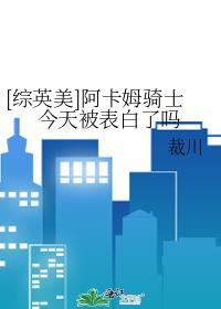 阿卡姆骑士全剧情