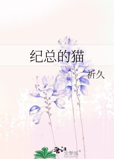 纪总的猫TXT