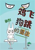 鸡飞狗跳的岁月