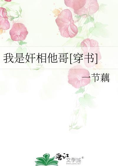 我是2×4