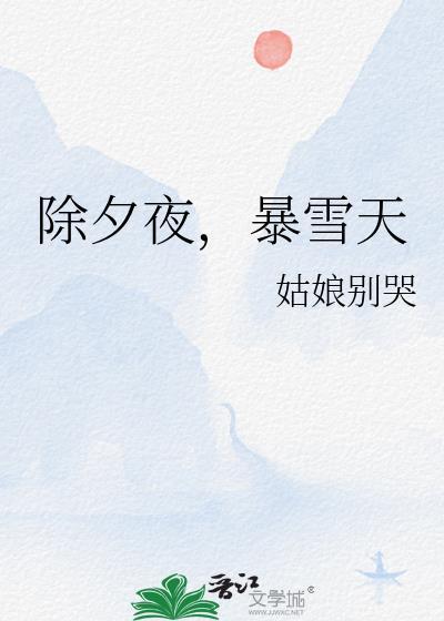 除夕夜暴雪天在线阅读