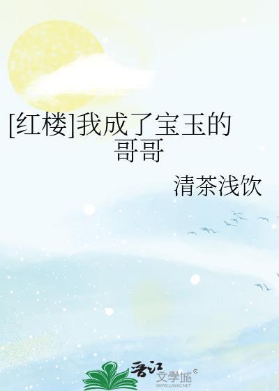红楼我成了宝玉的哥哥梁琰