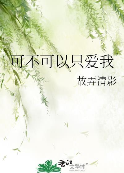 可不可以爱我可不可以想我歌词是什么意思