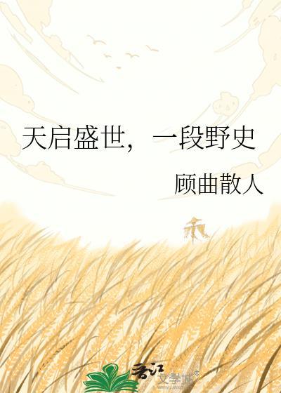 天启盛世段野史TXT全本