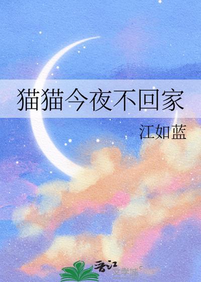 猫咪整天不回家