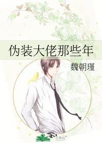伪装大佬的