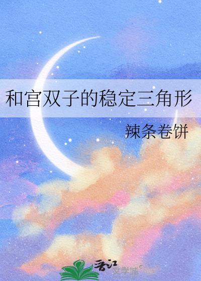 和宫双子的稳定三角形txt
