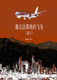 无法离地的飞行是翻唱吗
