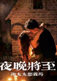 夜晚将至