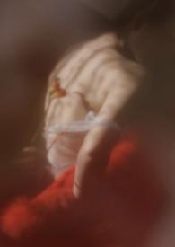 狐狸by