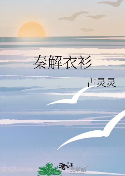 秦衣拆包图