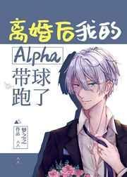 离婚后我的Alpha带球跑了作者林不川
