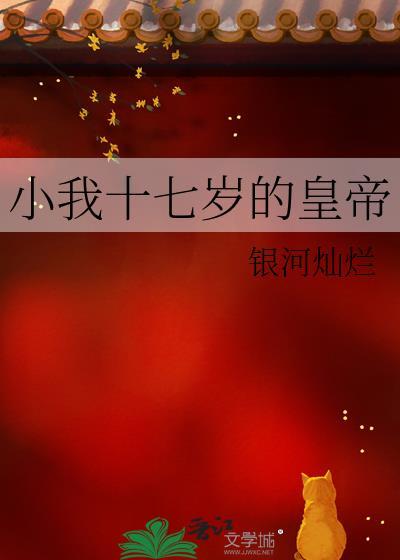 我十七岁入宫