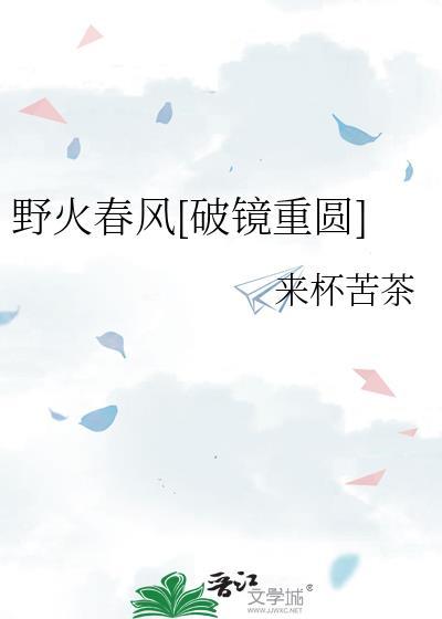 野火春风斗古城阅读
