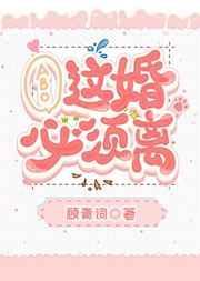 这婚必须离txt