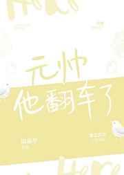 元帅他翻车了全集免费看