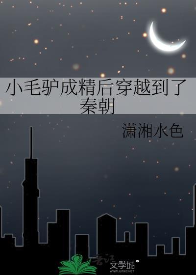 小毛驴 可爱