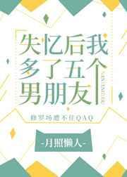 失忆后我多了五个男朋友 作者月照懒人