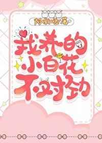 我养的小白脸是大佬演员表
