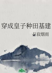 穿越成皇子的基建文