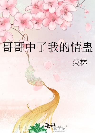 哥哥将我