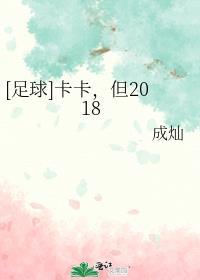 足球卡卡但2018