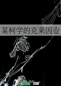 克莱因壶书