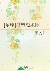 足球盘带之王