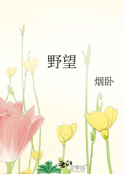 野望读音