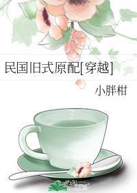 民国旧式原配穿越TXT