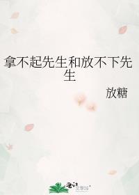拿不起先生和放不下先生晋江